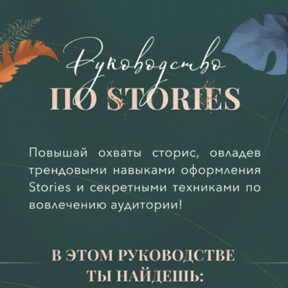 [Катерина Алешина] Руководство по stories (2021)