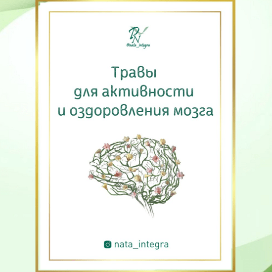 [Катерина Форма, nata_integra] Руководства Спасательный круг для мозга и Травы для активности и оздоровления мозга (2021)
