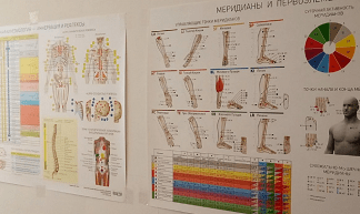 [kinesio.space] Плакат Иннервация и Рефлексы (2024)
