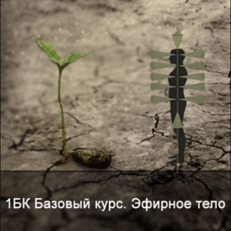 [Ксения Меньшикова] 1БК Базовый курс. Эфирное тело (2022)