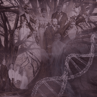 [Ксения Меньшикова] Сила Рода (2022) [Часть 1,2,3,4]