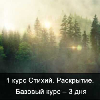 [Ксения Меньшикова] Факультет Стихии. 1 курс. 1 курс Стихий. Сила Стихий. Базовый курс (2025)