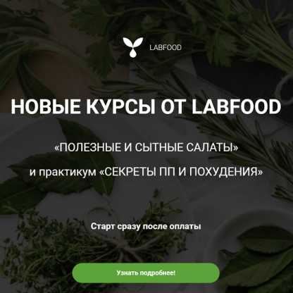 [LabFood][Яна Нетреба] Полезные и сытные салаты (2022)