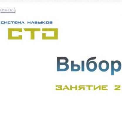 [Lee] СТО. Выбор. Занятие 2 (от 18.04.2020)