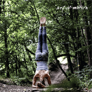 [Лидия Лаврукович, Анна Селиверстова] Основы слингов в движении (2023) [Artofmotion]