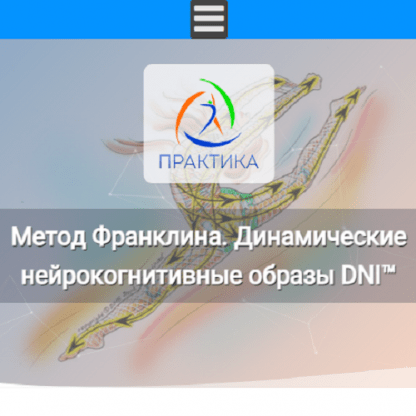 [Людмила Бабанская] Метод Франклина. Динамические нейрокогнитивные образы DNI™ (2024) [Центр Практика]