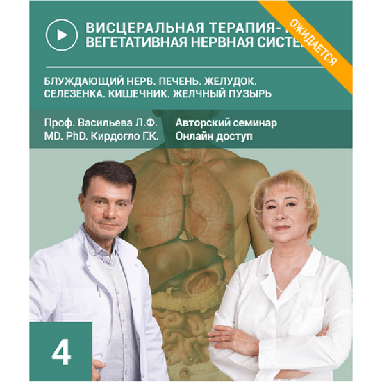 [Людмила Васильева, Глеб Кирдогло] Висцеральная терапия органов брюшной полости. Дисфункции ГБД. Биодинамика блуждающего нерва (2024)