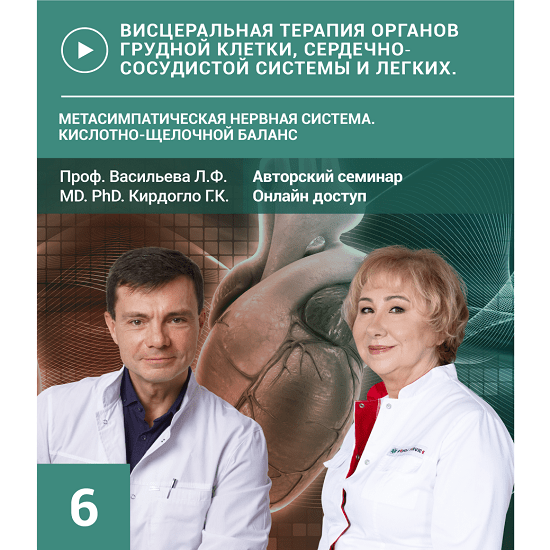 [Людмила Васильева, Глеб Кирдогло] Висцеральная терапия-3. Кислотно-щелочное равновесие. Семинар №6. Метасимпатическая нервная система (2024)