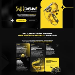 [Максим Попов] (WB) DSM. Данные, стратегия, масштабирование (2026) [Тариф Роскошный максимум] [Max evirma]