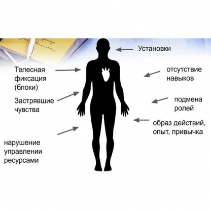 [Мария Ковалева] Метод Универсальных Трансформаций (2021)