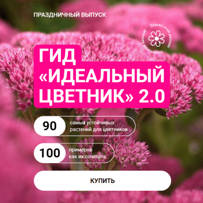 [Марина Берестова] Гид «Идеальный цветник» 2.0 (2024)