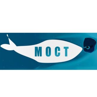 [Мария Бразговская] Мост. Это в моей власти (Август 2026)