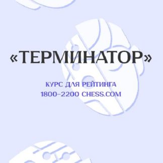 [Матвей Гальченко] Терминатор (2026)