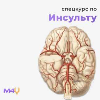 [Medforyou - школа медицины] Спецкурс по инсульту (2025)