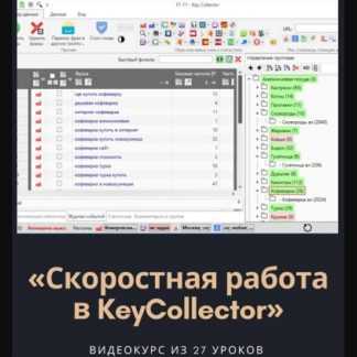 [Михаил Сабянин] Скоростная работа в KeyCollector (2020)