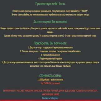 МИНИМУМ 3К В ДЕНЬ! Лучшая схема заработка (2019)