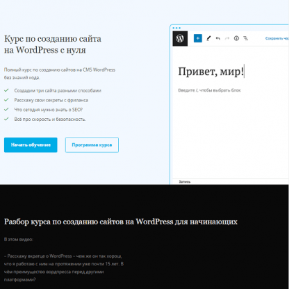 [Миша Рудрастых] Курс по созданию сайта на WordPress с нуля (2024)