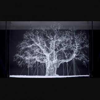 [MMOMA][Ксения Голубович] Предмет искусства образ, начало (2023)