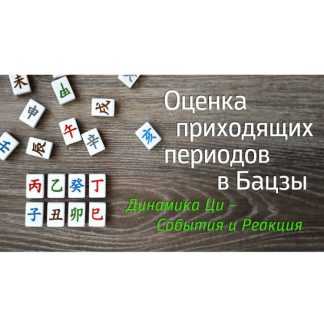 [Наталия Цыганова] Оценка приходящих периодов в Ба-цзы. Динамика ци - события и реакция (2026)