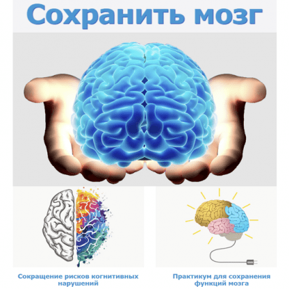 [Наталья Арсенян] Сохранить Мозг. Сокращение рисков когнитивных нарушений + Практикум для сохранения функций мозга (2023)