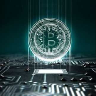 [Наталья Вдовина] Криптогайд (2024)