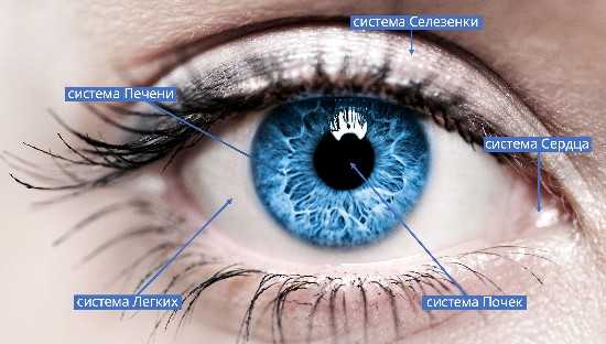 [Неоглори] Здоровые Глаза и Зоркий Взгляд. Комплекс упражнений Мин Му И Ши Гун для улучшения зрения в любом возрасте (2023)