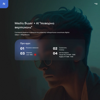 [Nervous Academy] Media Buyer + AI товарная вертикаль (2024)