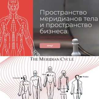 [Никита Истомин] Пространство меридианов тела и пространство бизнеса (2023)