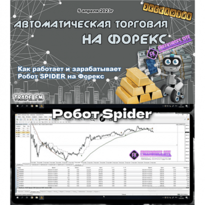 Обновленный Советник Spider 2023 [Разгонный]