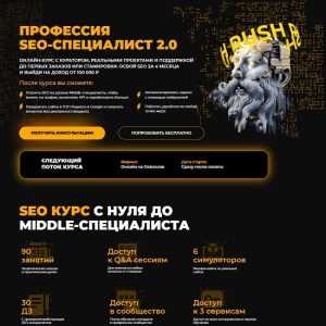 [Олег Шестаков, Антон Климов] Профессия SEO-специалист 2.0 (обновленный 2025) [Тариф Plus] [Rush Academy]