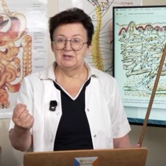 [Ольга Шишова] 25 ежедневных обязательных мероприятий (ЕОМ) при наличии Швов (2025)