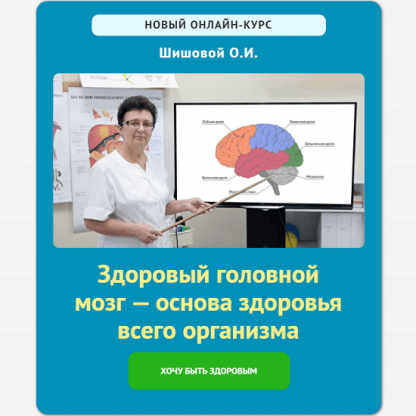 [Ольга Шишова] Здоровый головной мозг — основа здоровья всего организма (2024)