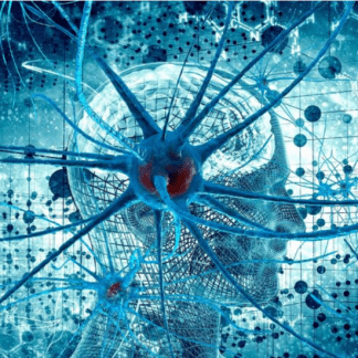 [Ольга Сварник] Введение в когнитивную нейронауку. Лекция 2. «Чтение» нейронных групп (2025) [Архэ]