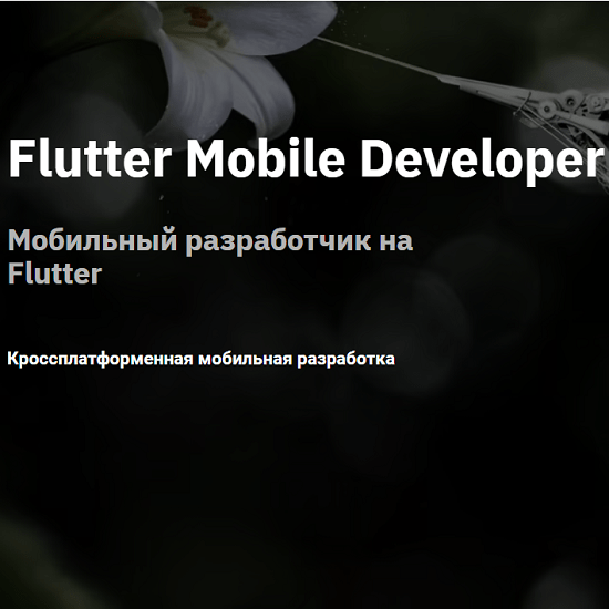 [Otus] Flutter Mobile Developer. Весь курс (Андрей Смирнов, Никита Спирьянов)