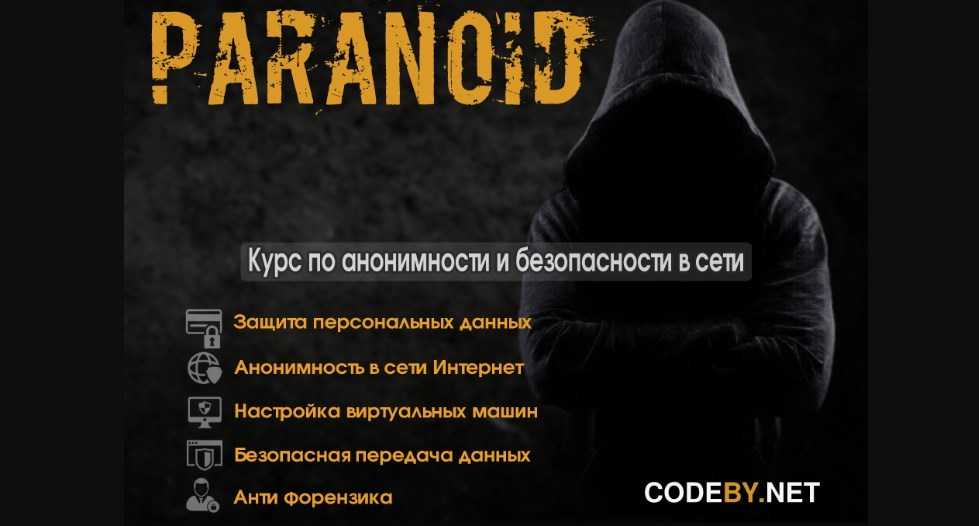 Paranoid. Курс по анонимности и безопасности в сети интернет (ghost и Злой Дядька) скачать