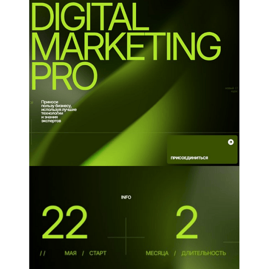 [Павел Антонов] Digital Marketing Pro (2025) [Targetorium] 