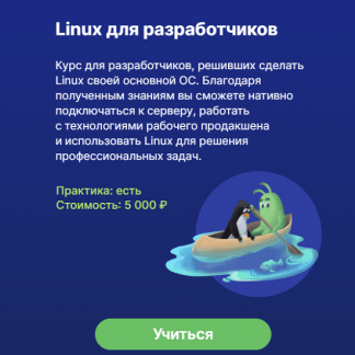 [Павел Калашников] Linux для разработчиков (2024) [Слёрм]
