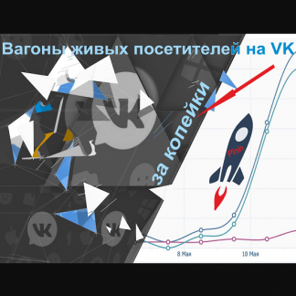[Pinin] Вагоны живых посетителей на VK за копейки (2021)