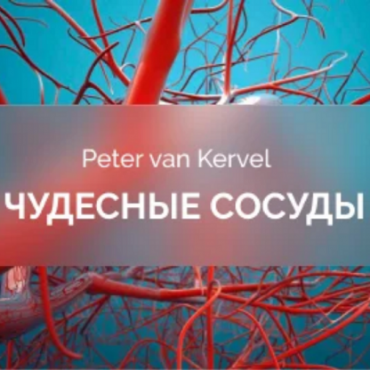 [Питер Ван Кервель] Чудесные сосуды (2025) [Краниосакральная академия]