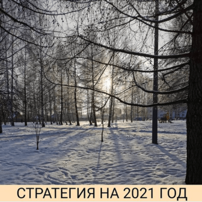 [Private Investor] [Александр Петров] Стратегия на 2021 год