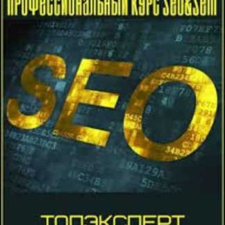Профессиональный курс SEO&SEM (Топэксперт) скачать