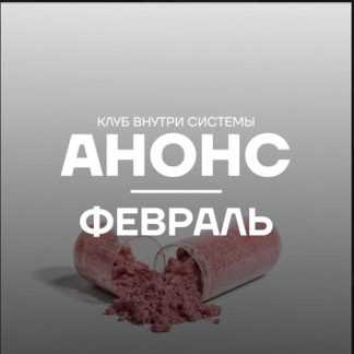 [Pure peptides] Внутри системы (февраль 2026)