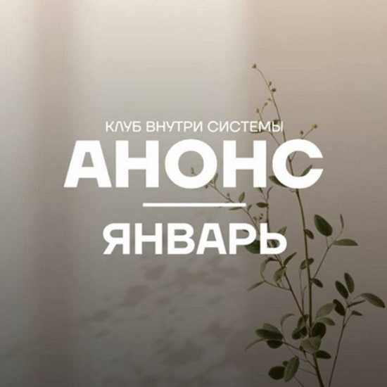 [Pure peptides] Внутри системы (январь 2026) 