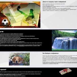 [Рамиль Сагатдинов] Заработок на чужих изображениях (2019)