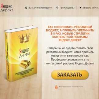 [Решетников Вячеслав] Как сэкономить рекламный бюджет, а прибыль увеличить в 5 раз (2020)