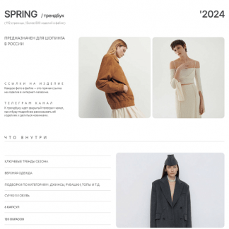 [Рита Степанченко] Трендбук SpringLocal (2024)