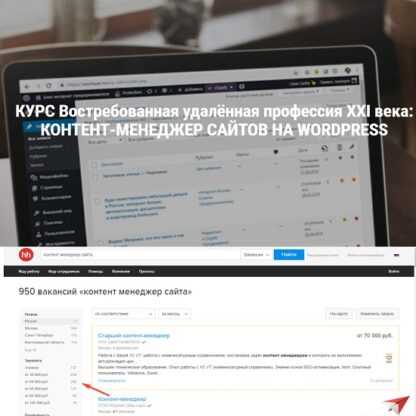 [Seostayer] Профессия контент-менеджер сайтов на Wordpress (2021)