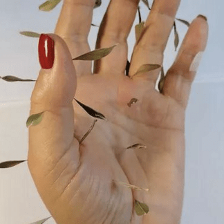 [Сергей Ивченко] Ладка по Ладони. Мастер класс (2023)