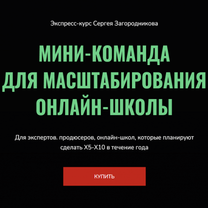 [Сергей Загородников] Мини-команда для масштабирования онлайн-школы (2023)