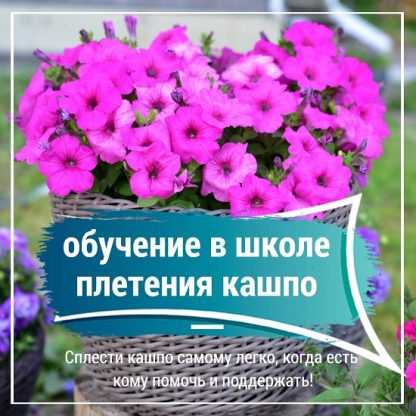 [Снежана Чубыкина] Обучение в школе плетения кашпо (2024) [Мастерская Хуторянка]